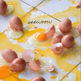 На ошибках Seewoow