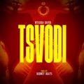 Tsvodi by Nyasha David