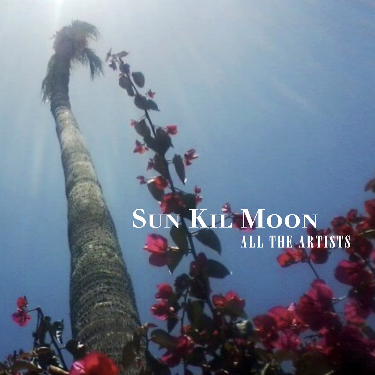 Sun Kil Moon Lunch In The Park ‎All the Artists - Album by Sun Kil Moon - Apple Music