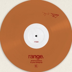 In Your Sleep - Single