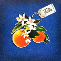 Flor de azahar - Single - Bonté & Wayup