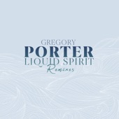 Liquid Spirit - Remixes - EP artwork