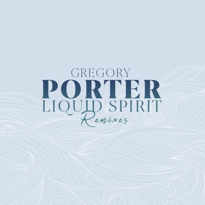 Liquid Spirit (20syl Remix) cover art