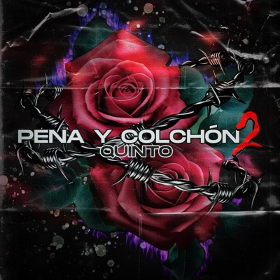 Pena Y Colchón 2 - Single