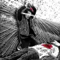 Murder Spree