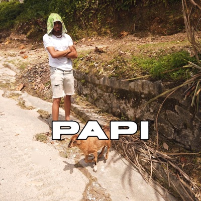 PAPI - Single