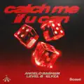 Catch Me If You Can