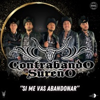 Si me vas a abandonar