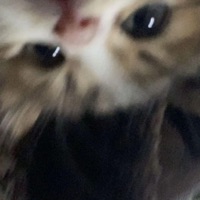 Too Late! (feat. Supern0va) - Single - nes