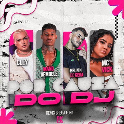Por Causa do Dj (feat. Mc Vick) - Single