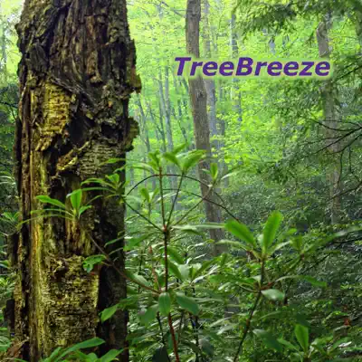 Hör dir „TreeBreeze - Single“ von Feuqi an