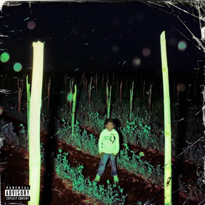 Blazed Habits (SV AUDIO) - Single