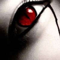 My Archive 2 - Nirlof