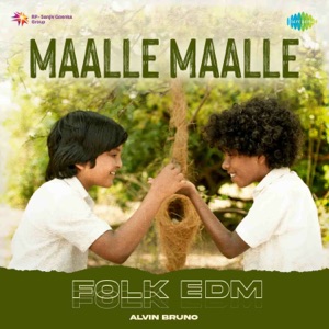 Maalle Maalle (Folk EDM)