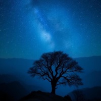 SERAPH - Single - Tinz