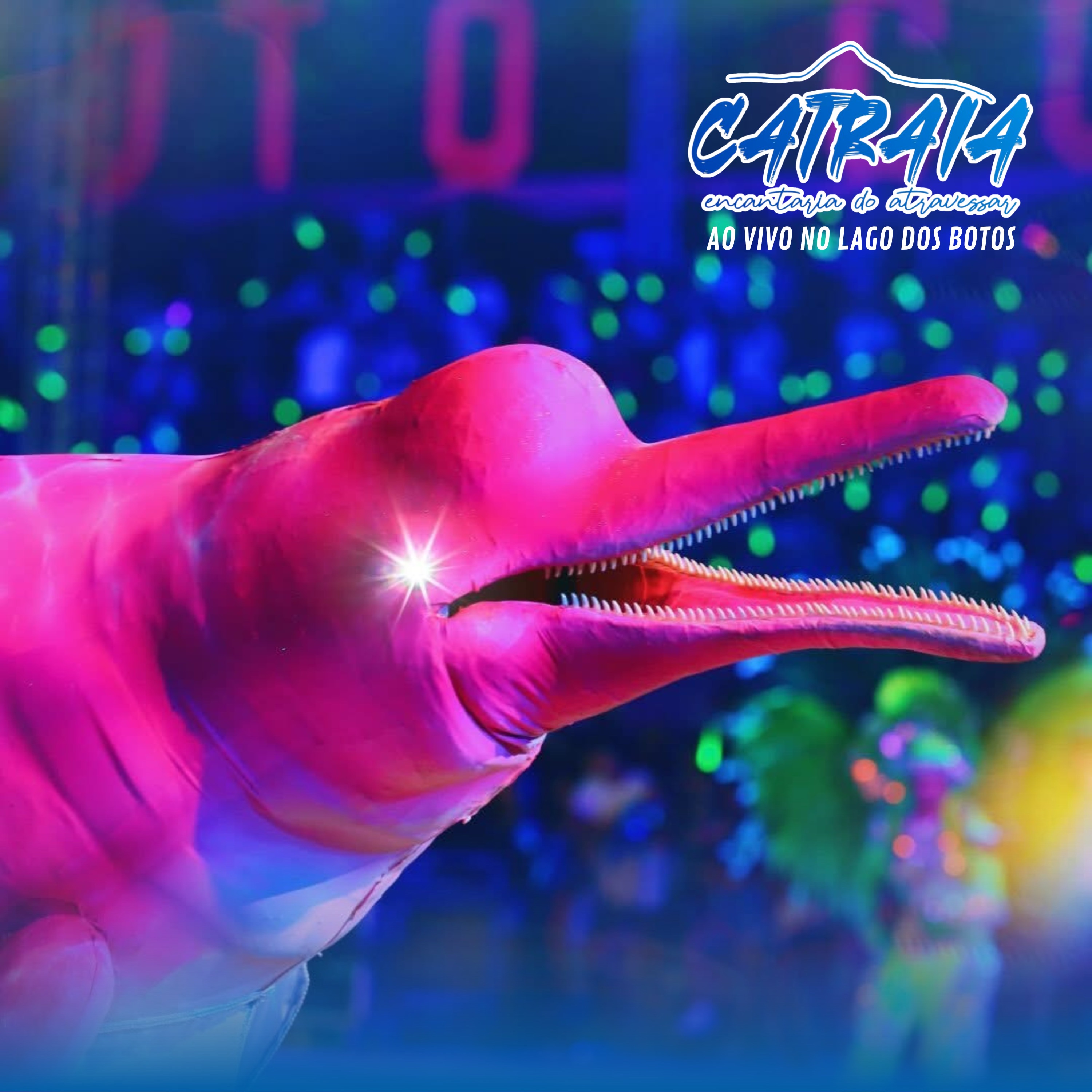 Boto Cor de Rosa 2025 - Maria Ribeirinha