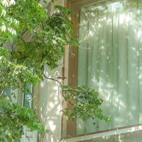 koko's theme - Single - Kosu.