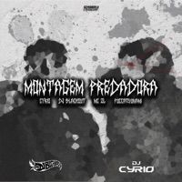 Montagem Predadora - Single - DJ BLACKOUT, Mc ZL & Puccatsunami