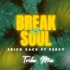 BREAK MY SOUL (feat. Dj Percy) [TRIBE MIX] - Single