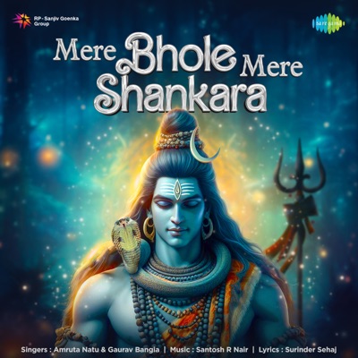 Mere Bhole Mere Shankara - Single