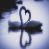 MUSE - Single - mellow