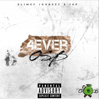 4 EVER OSB (feat. 2UP) - Single