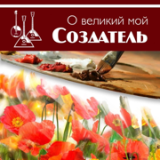 В жизни Бог допускает скорби - SibStudio