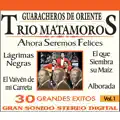 trio matamoros