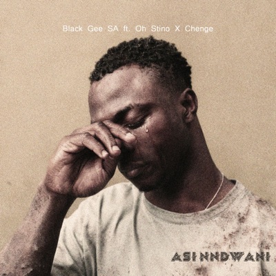 Asi Nndwani (feat. Oh Stino & Chenge) - Single