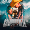 Caminhonete Prata - Belle Kaffer & Luan Pereira