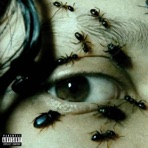 HN BIH - Single