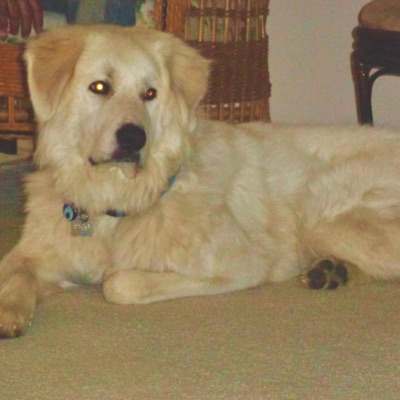 the time of our lives we will never get back - EP