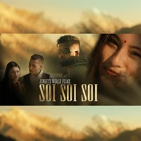 Soi Soi Soi (feat. Rooster) - Single - Nawaj Ansari