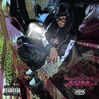 2016 - Single - Maison2500