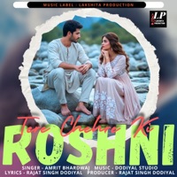 Tere Chehre Ki Roshni - Single - Amrit Bhardwaj