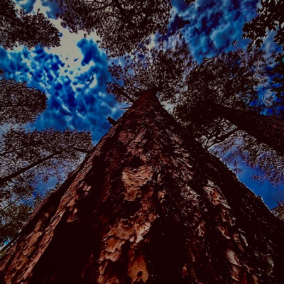 TwentyNineteen - Single