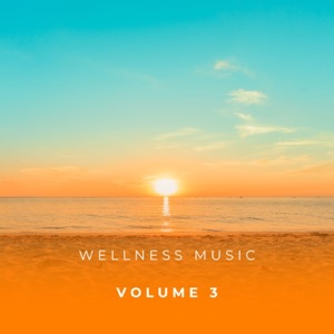 Wellness Music Vol. 3