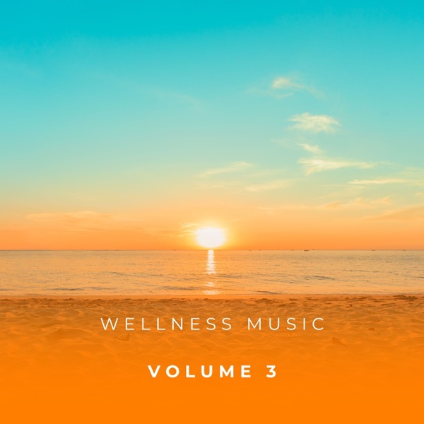 Wellness Music Vol. 3