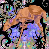 THE BIRTHPLACE OF NEW COLORS - STZYWENDIGO, MXSES & SLVG