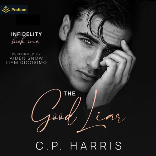 The Good Liar: Infidelity, Book 1 (Unabridged) cover