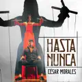 Hasta nunca