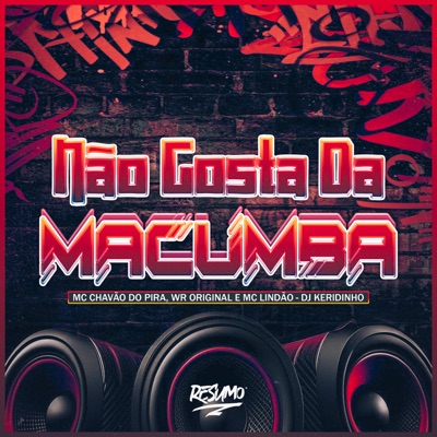 Não Gosta da Macumba (feat. MC Chavão do Pira) - Single