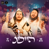 הייליג Heilig - Single - YOSSI FRIED & מוטי גולדמן