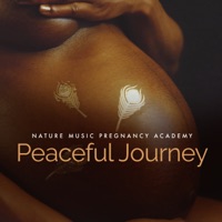 Peaceful Journey - Nature Music Pregnancy Academy
