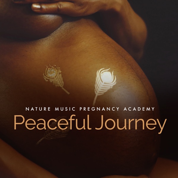 Peaceful Journey