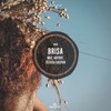 Brisa cover art