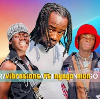 Vibrations - High level