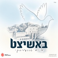 Bashitzed - באשיצט - Single - Chaim Twerski
