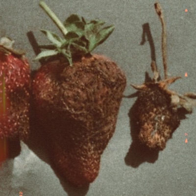 Pack Of Wolves - Single