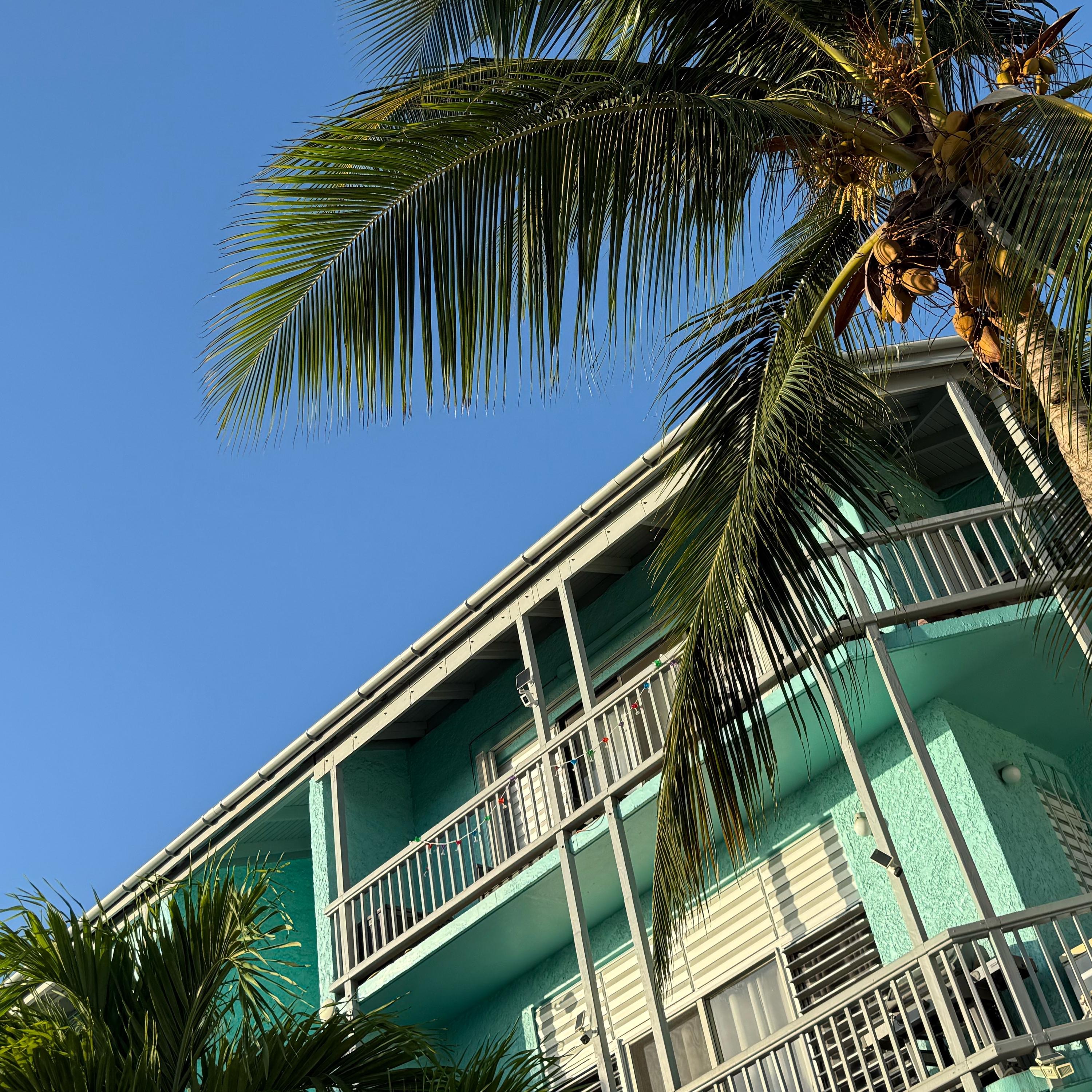 Broke in the Islands - Single